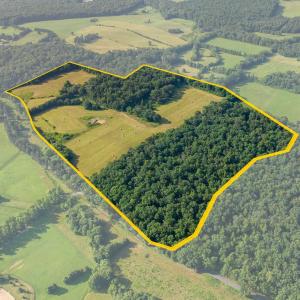 Photo #6 of 76.99 acres COLES ROLLING RD, SCOTTSVILLE, VA 77.0 acres