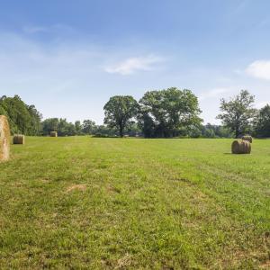 Photo #4 of 76.99 acres COLES ROLLING RD, SCOTTSVILLE, VA 77.0 acres