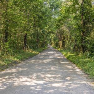 Photo #26 of 76.99 acres COLES ROLLING RD, SCOTTSVILLE, VA 77.0 acres