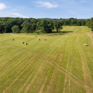 Photo #3 of 76.99 acres COLES ROLLING RD, SCOTTSVILLE, VA 77.0 acres
