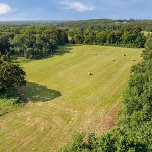 Photo #14 of 76.99 acres COLES ROLLING RD, SCOTTSVILLE, VA 77.0 acres