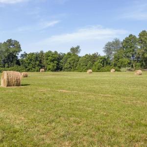 Photo #20 of 76.99 acres COLES ROLLING RD, SCOTTSVILLE, VA 77.0 acres