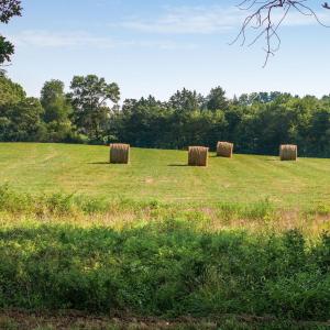 Photo #16 of 76.99 acres COLES ROLLING RD, SCOTTSVILLE, VA 77.0 acres