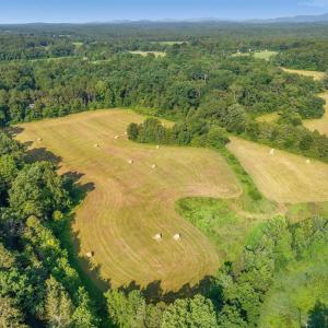 Photo #9 of 76.99 acres COLES ROLLING RD, SCOTTSVILLE, VA 77.0 acres