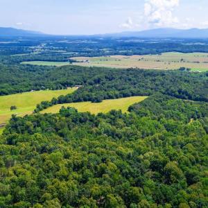 Photo #7 of Lot 12 SHULER LN, STANLEY, VA 11.5 acres