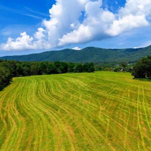 Photo #2 of Lot 12 SHULER LN, STANLEY, VA 11.5 acres