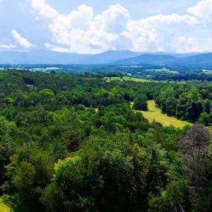 Photo #9 of Lot 12 SHULER LN, STANLEY, VA 11.5 acres