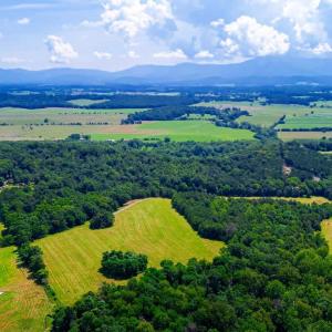 Photo #6 of Lot 12 SHULER LN, STANLEY, VA 11.5 acres