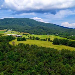 Photo #10 of Lot 12 SHULER LN, STANLEY, VA 11.5 acres