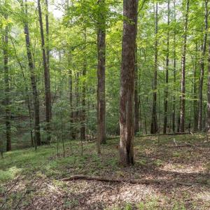 Photo #1 of TBD DECCA LN, CHARLOTTESVILLE, VA 6.5 acres