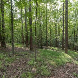 Photo #8 of TBD DECCA LN, CHARLOTTESVILLE, VA 6.5 acres