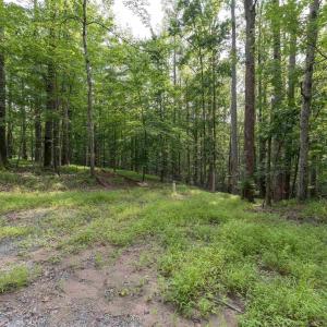 Photo #6 of TBD DECCA LN, CHARLOTTESVILLE, VA 6.5 acres