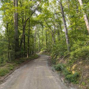 Photo #5 of TBD DECCA LN, CHARLOTTESVILLE, VA 6.5 acres