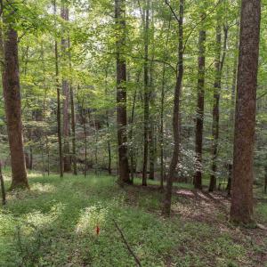 Photo #2 of TBD DECCA LN, CHARLOTTESVILLE, VA 6.5 acres