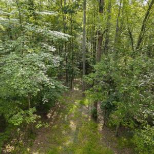 Photo #4 of TBD DECCA LN, CHARLOTTESVILLE, VA 6.5 acres
