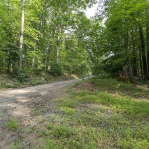 Photo #7 of TBD DECCA LN, CHARLOTTESVILLE, VA 6.5 acres