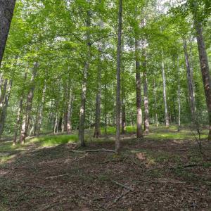 Photo #3 of TBD DECCA LN, CHARLOTTESVILLE, VA 6.5 acres