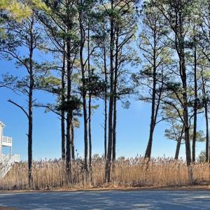 Photo #12 of Lot 718 CASTAWAY DR, GREENBACKVILLE, VA 7.0 acres