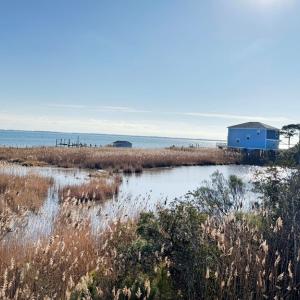 Photo #4 of Lot 718 CASTAWAY DR, GREENBACKVILLE, VA 7.0 acres