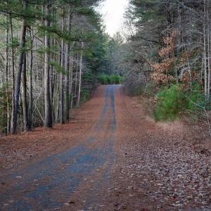 Photo #20 of Lot 719 CASTAWAY DR, GREENBACKVILLE, VA 9.0 acres