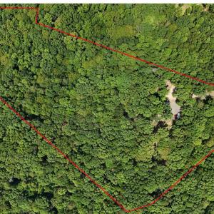 Photo #3 of N-74 SALEM RD, SCHUYLER, VA 11.6 acres