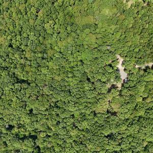 Photo #2 of N-74 SALEM RD, SCHUYLER, VA 11.6 acres