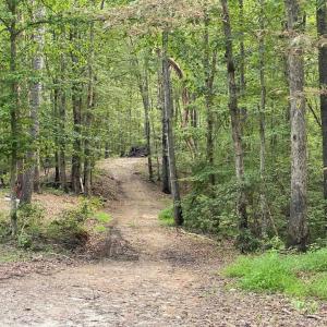 Photo #11 of N-74 SALEM RD, SCHUYLER, VA 11.6 acres