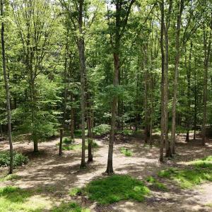 Photo #6 of N-74 SALEM RD, SCHUYLER, VA 11.6 acres