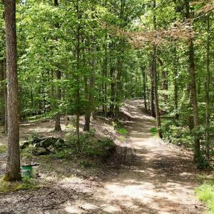 Photo #9 of N-74 SALEM RD, SCHUYLER, VA 11.6 acres