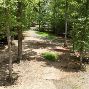 Photo #8 of N-74 SALEM RD, SCHUYLER, VA 11.6 acres