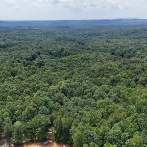 Photo #6 of N-74 SALEM RD, SCHUYLER, VA 11.6 acres