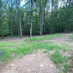 Photo #11 of N-74 SALEM RD, SCHUYLER, VA 11.6 acres
