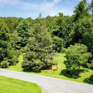 Photo #4 of lot 30 EMERSON DR, CHARLOTTESVILLE, VA 2.0 acres