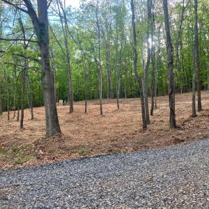 Photo #7 of WESTMINISTER DR, MILLBORO, VA 0.8 acres
