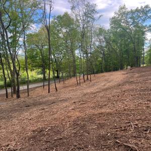 Photo #8 of WESTMINISTER DR, MILLBORO, VA 0.8 acres