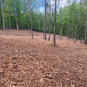 Photo #1 of WESTMINISTER DR, MILLBORO, VA 0.8 acres