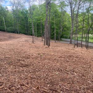 Photo #11 of WESTMINISTER DR, MILLBORO, VA 0.8 acres