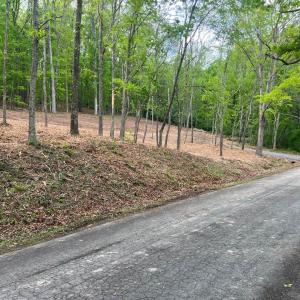 Photo #4 of WESTMINISTER DR, MILLBORO, VA 0.8 acres
