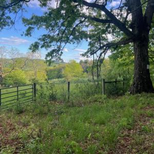 Photo #14 of WESTMINISTER DR, MILLBORO, VA 0.8 acres