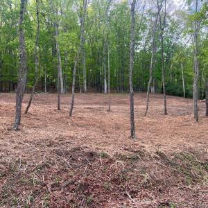 Photo #5 of WESTMINISTER DR, MILLBORO, VA 0.8 acres