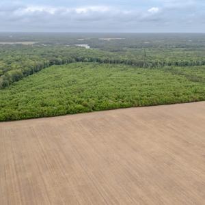 Photo #3 of WILSONIA NECK DR, MACHIPONGO, VA 152.1 acres