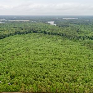 Photo #4 of WILSONIA NECK DR, MACHIPONGO, VA 152.1 acres