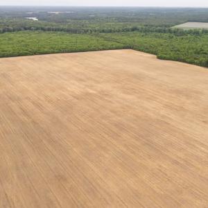 Photo #2 of WILSONIA NECK DR, MACHIPONGO, VA 152.1 acres