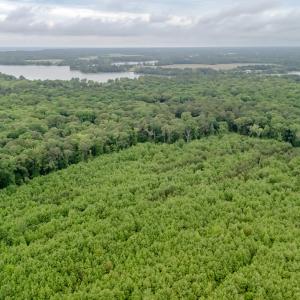 Photo #5 of WILSONIA NECK DR, MACHIPONGO, VA 152.1 acres