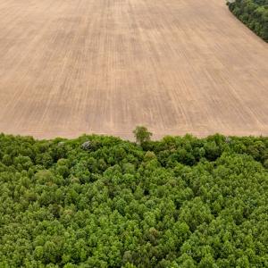 Photo #7 of WILSONIA NECK DR, MACHIPONGO, VA 152.1 acres