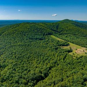 Photo #24 of 7869 LAUREL RD, SHIPMAN, VA 73.0 acres