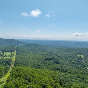 Photo #15 of 7869 LAUREL RD, SHIPMAN, VA 73.0 acres