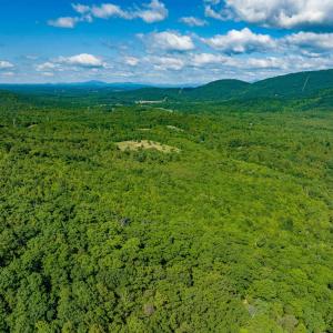 Photo #16 of 7869 LAUREL RD, SHIPMAN, VA 73.0 acres