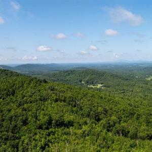 Photo #11 of 7869 LAUREL RD, SHIPMAN, VA 73.0 acres