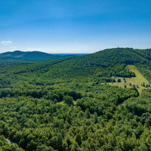 Photo #1 of 7869 LAUREL RD, SHIPMAN, VA 73.0 acres